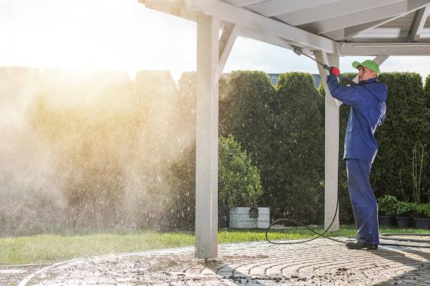 Pre-Holiday Cleaning in Cerro Gordo, IL