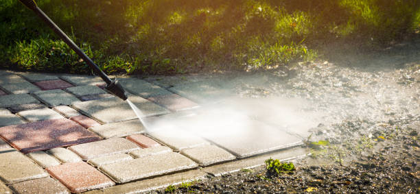 Best House Exterior Washing  in Cerro Gordo, IL