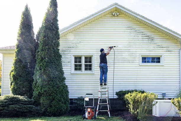 Best Dumpster Area Cleaning  in Cerro Gordo, IL