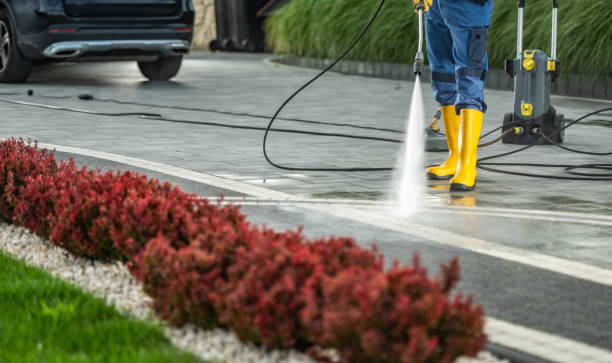 Best Solar Panel Cleaning  in Cerro Gordo, IL